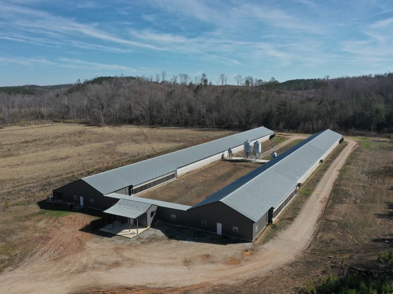 Reduced, Well Done Breeder Farm : Wadley : Randolph County : Alabama