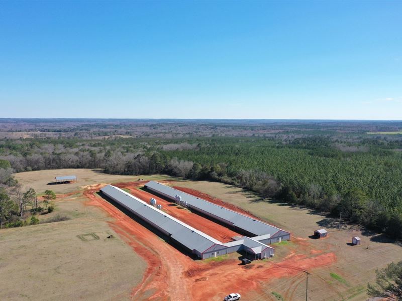 653 Breeder Farm : Clayton : Barbour County : Alabama