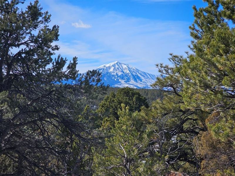 121 Blackhawk Ranch : Walsenburg : Huerfano County : Colorado