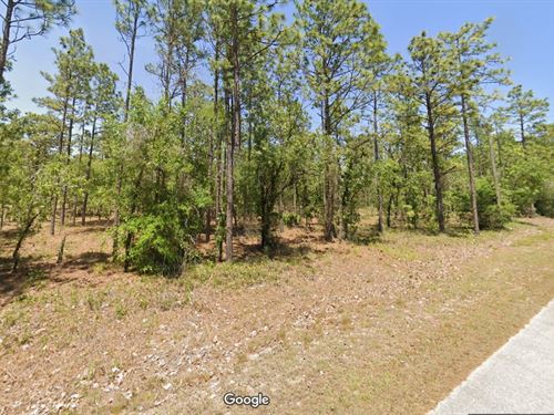 Marion County Florida Land for Sale : LANDFLIP