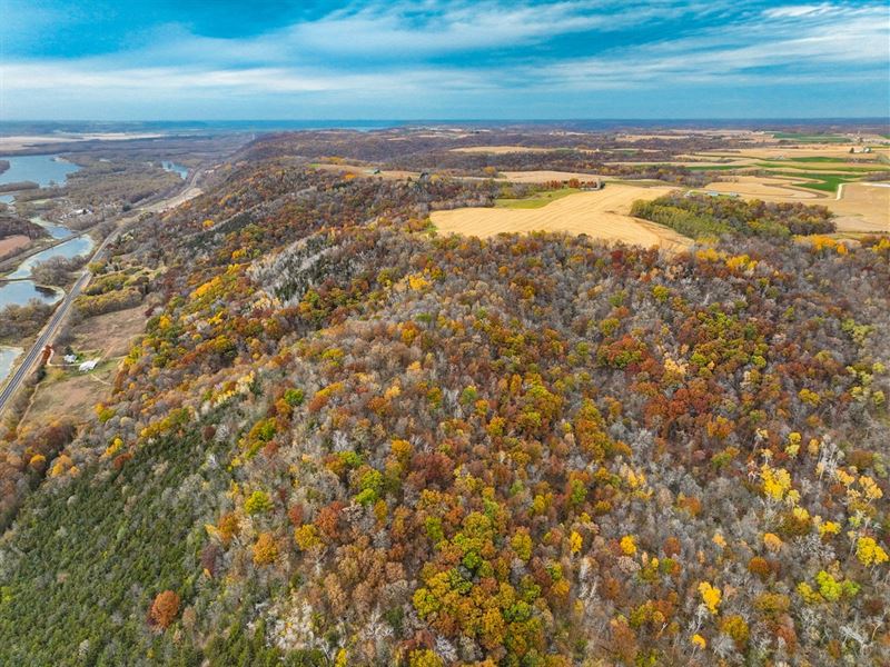 54 Acres Buffalo County : Cochrane : Buffalo County : Wisconsin