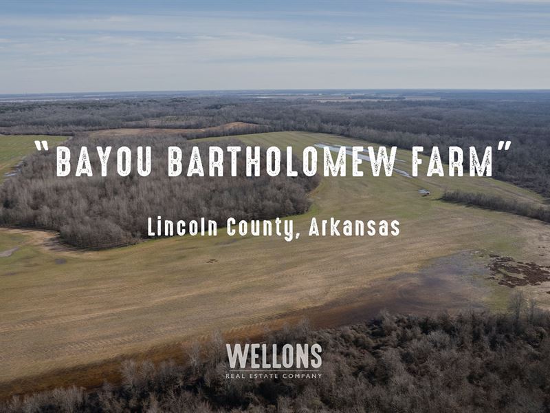 Bayou Bartholomew Farm : Star City : Lincoln County : Arkansas