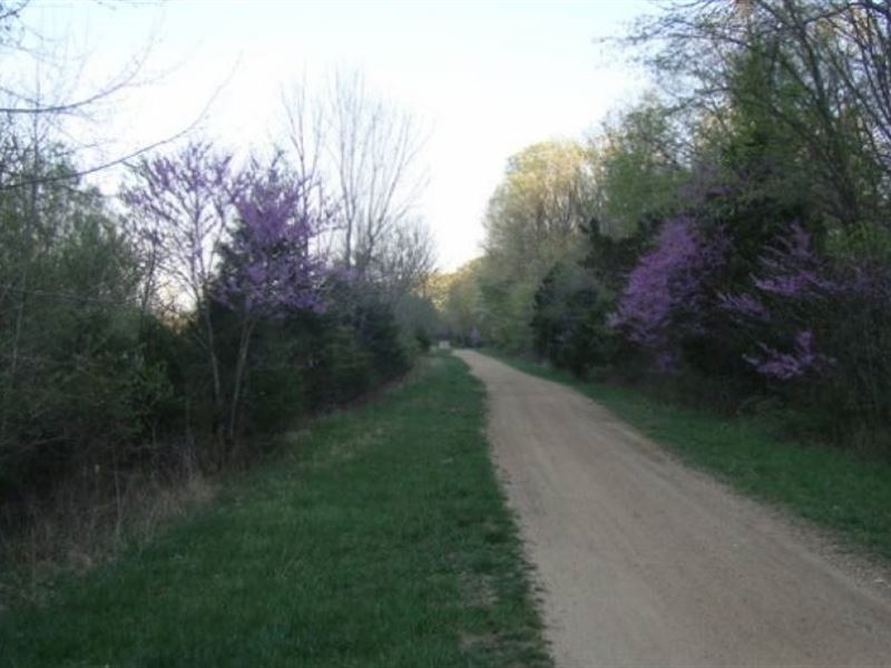 .17 Acre in Washington County, MO : Aptus : Washington County : Missouri