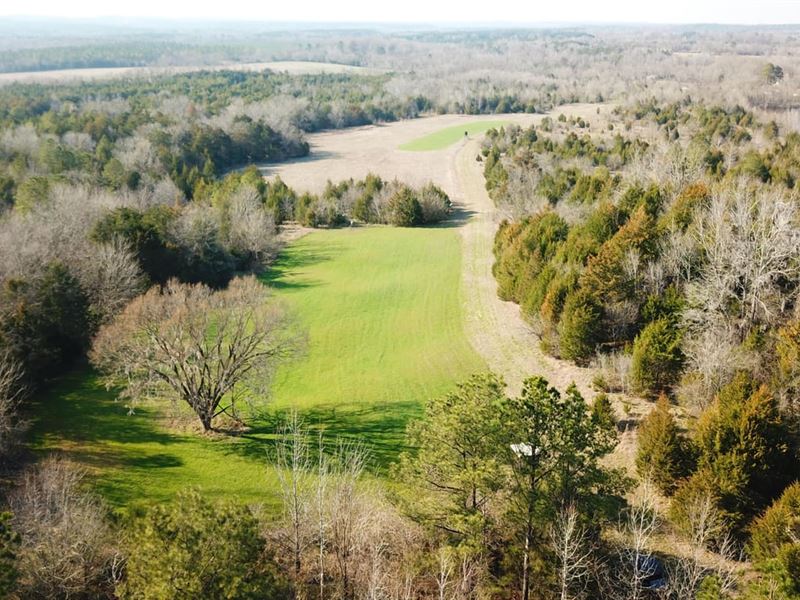 Darlington Ridge, 218 Acres in Wilc : Darlington : Wilcox County : Alabama