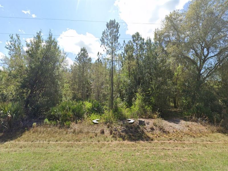 1.02 Acre Lot in Beautiful Paradise : Interlachen : Putnam County : Florida