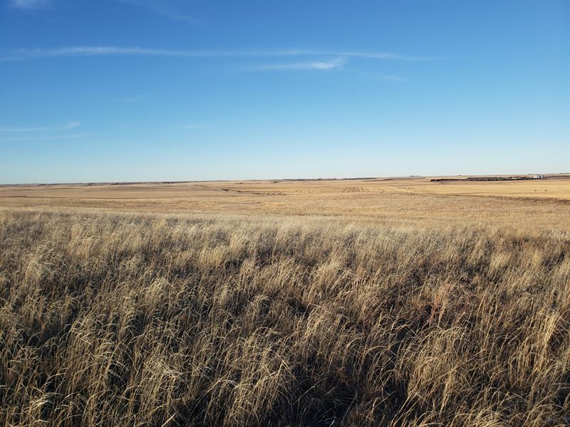 Sheridan County Pasture Organic : Gordon : Sheridan County : Nebraska