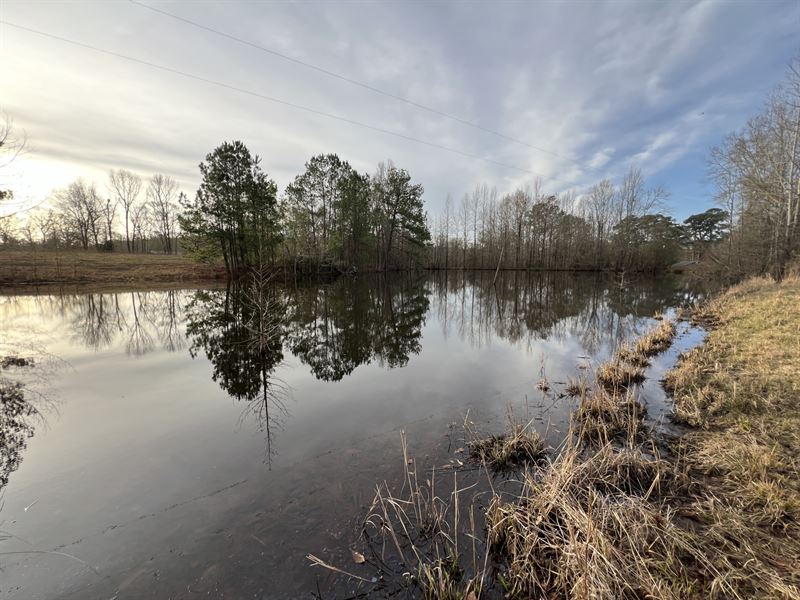 Shawnee Mini Farm : Camden : Wilcox County : Alabama