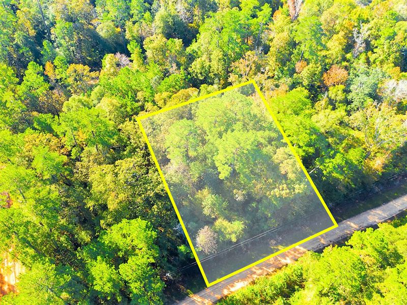 Unrestricted Wooded Double Lot : Livingston : Polk County : Texas