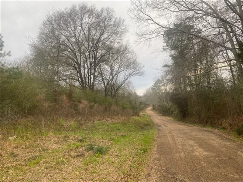 2 Acres in Pike County, MS : Magnolia : Pike County : Mississippi