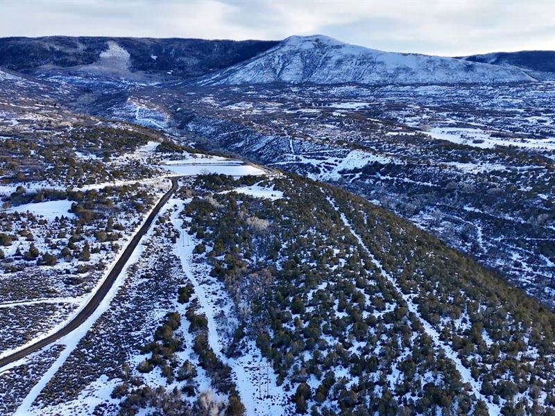 Cottonwood Creek : Collbran : Mesa County : Colorado