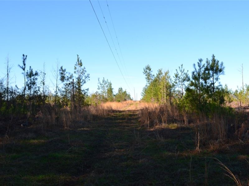 Cochran Highway West : Chester : Dodge County : Georgia