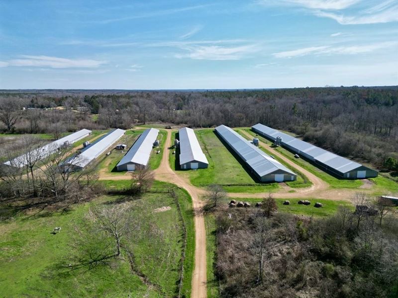 6-House Poultry Broiler Farm for Sa : Union Church : Jefferson County : Mississippi