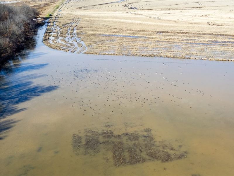 Bryant Farm : Weiner : Poinsett County : Arkansas