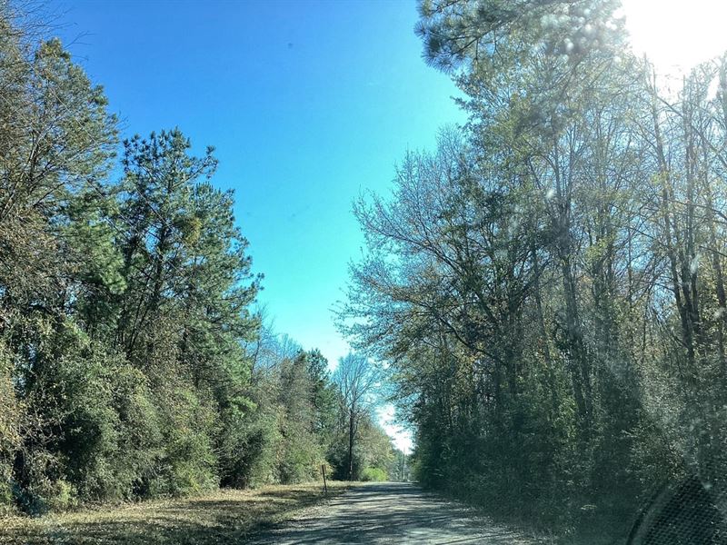 Cotton Trail Tract 1, Allen Parish : Elizabeth : Allen Parish : Louisiana