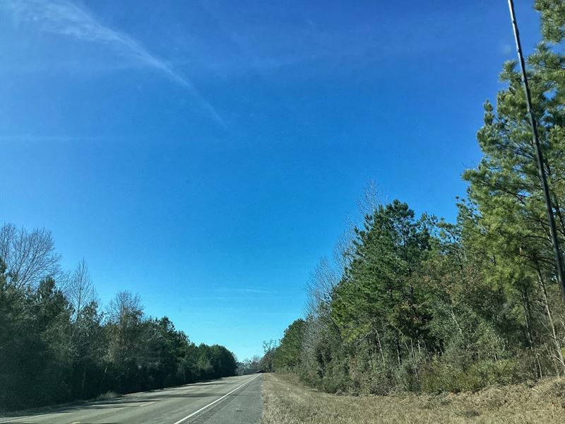 Cotton Trail Tract 2, Allen Parish : Elizabeth : Allen Parish : Louisiana