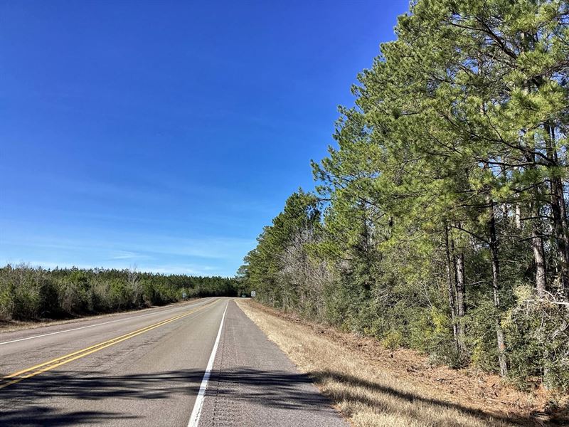 Cotton Trail Tract 6, Allen Parish : Elizabeth : Allen Parish : Louisiana