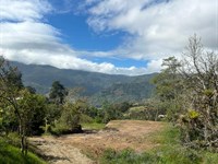 Small and Beautiful Farm : Palomo De Orosi : Costa Rica