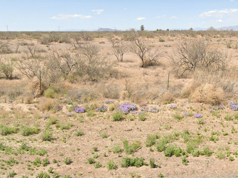 High and Dry Lot in Luna County : Deming : Luna County : New Mexico