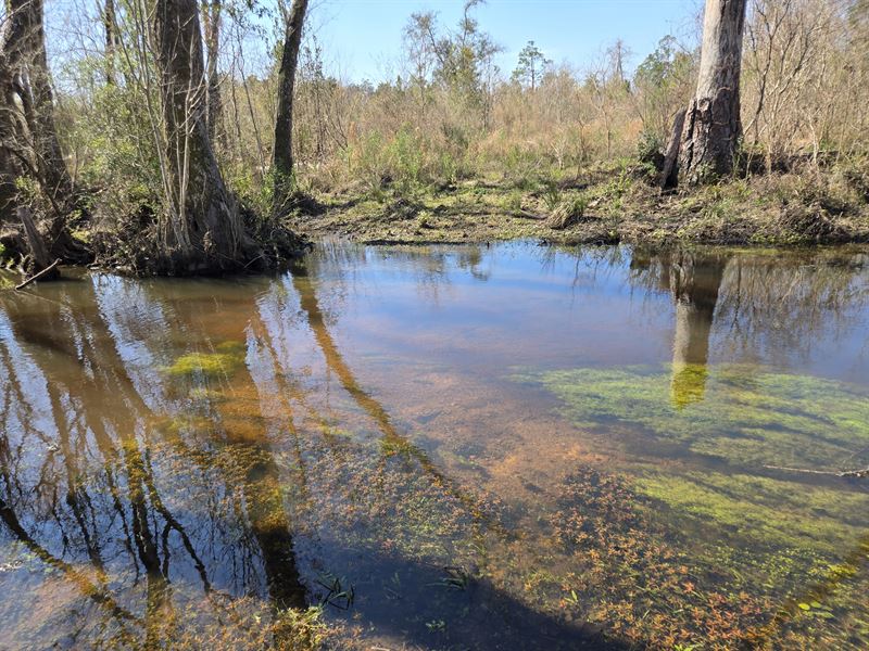 Camp Creek Florida Panhandle : Bonifay : Holmes County : Florida