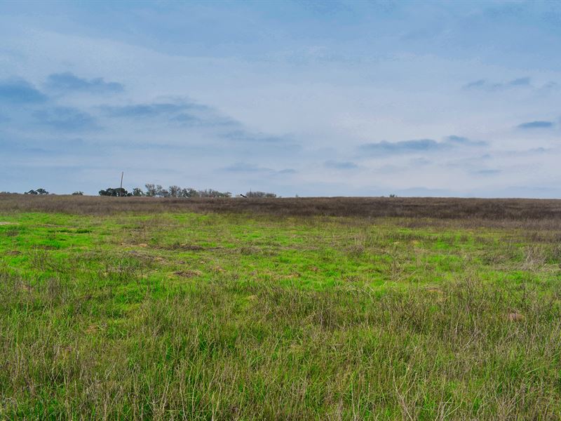 Beautiful Views, No Clearing Needed : Kingsbury : Guadalupe County : Texas