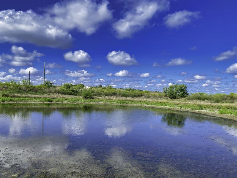 3+ Acres with Beautiful Pond : Coupland : Williamson County : Texas