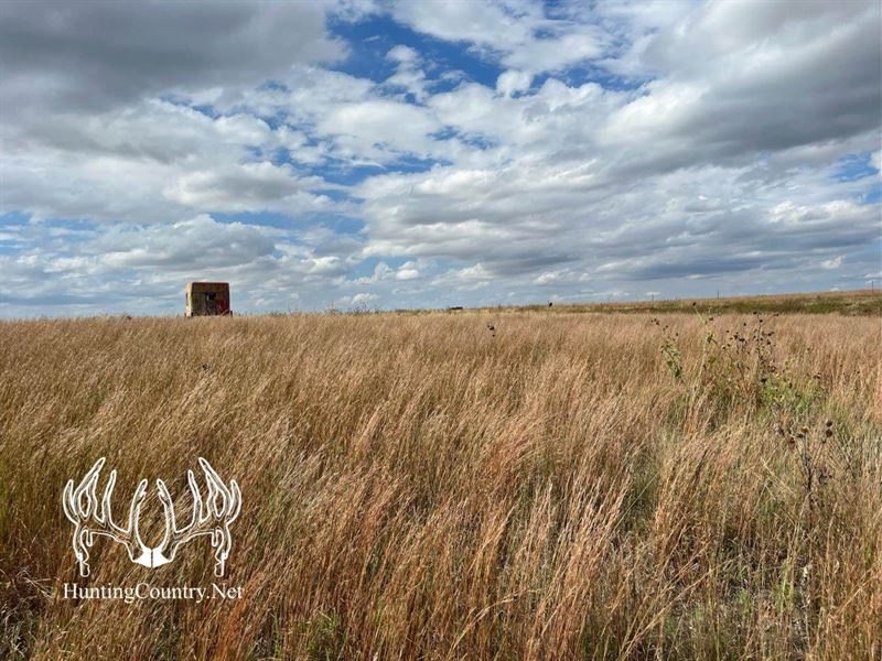 Meade County, Kansas 115 Acres M/L : Meade : Meade County : Kansas