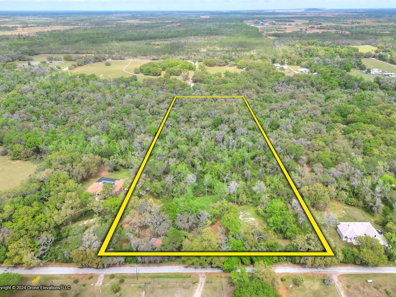 Hidden Creek Wooded Homesite : Mulberry : Hillsborough County : Florida