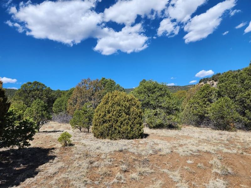 2 Picketwire Ranch : Trinidad : Las Animas County : Colorado