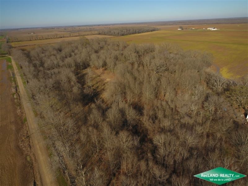 17 Ac Wooded Home Site Tract : Goodwill : West Carroll Parish : Louisiana