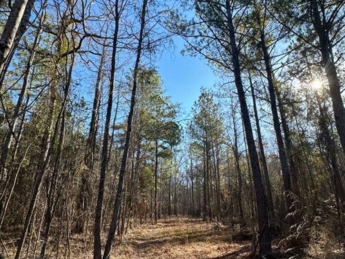 Land For Sale In Mississippi Outside City Limits