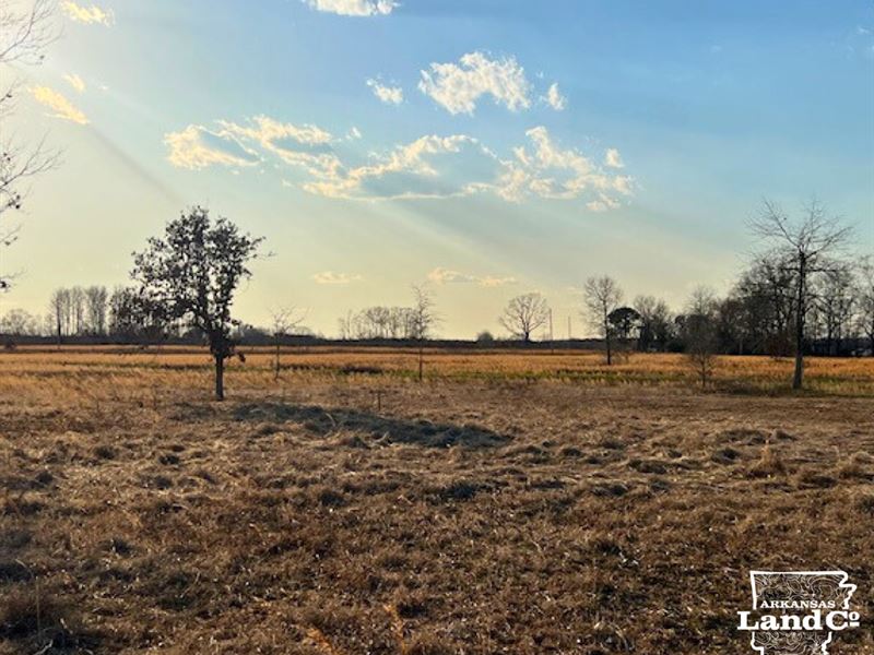 39.3 Acres Near Enola, Arkansas : Enola : Faulkner County : Arkansas