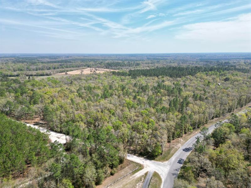 24.45 Acres Persimmon Dr : Pinetta : Madison County : Florida