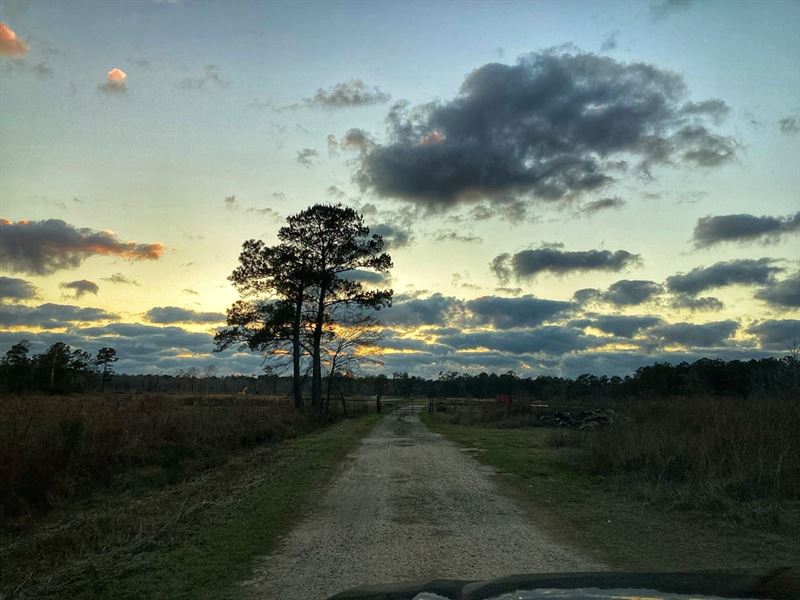 Chesson Road Tract, Calcasieu Paris : Vinton : Calcasieu Parish : Louisiana