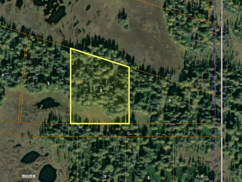 5 Acres of Remote Land Next to Plat : Beluga : Kenai Peninsula Borough : Alaska