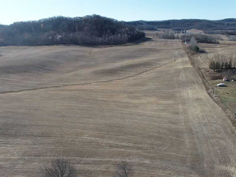 35 Acres Buffalo County : Mondovi : Buffalo County : Wisconsin