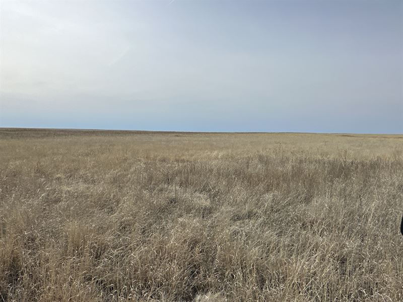 Kiowa County, CO Income Property : Eads : Kiowa County : Colorado