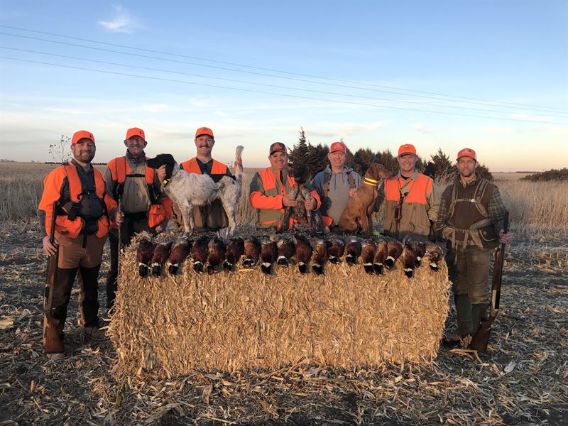 Hayes County Upland and Crp : Hayes Center : Hayes County : Nebraska