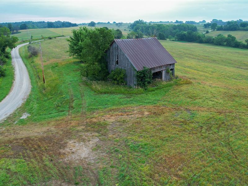 The White Oaks Tillable : Princeton : Mercer County : Missouri