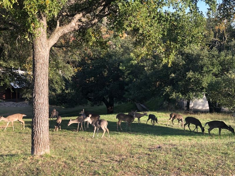 Highland Lakes 25 : Sunrise Beach Village : Llano County : Texas