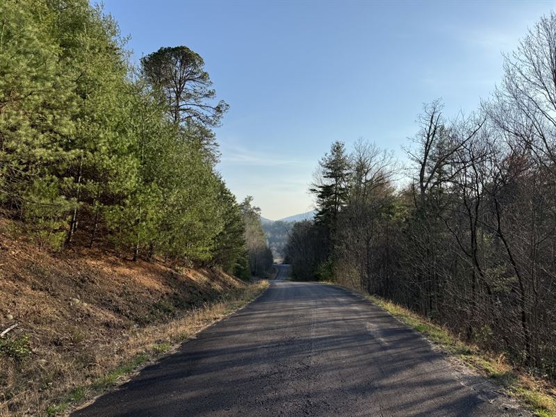 1.21 Ac Lot 35, Rabun County, GA : Rabun Gap : Rabun County : Georgia