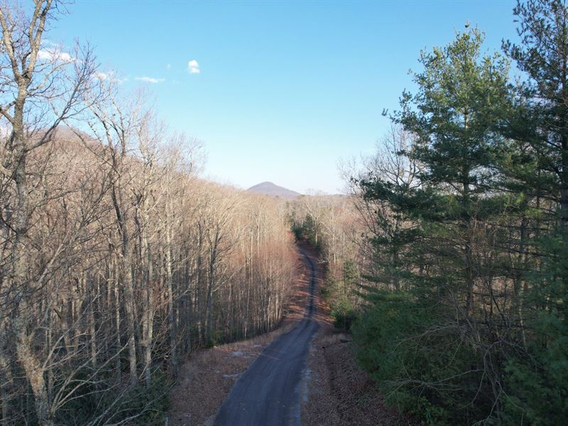 1.03 Ac Lot 15, Rabun County, GA : Rabun Gap : Rabun County : Georgia