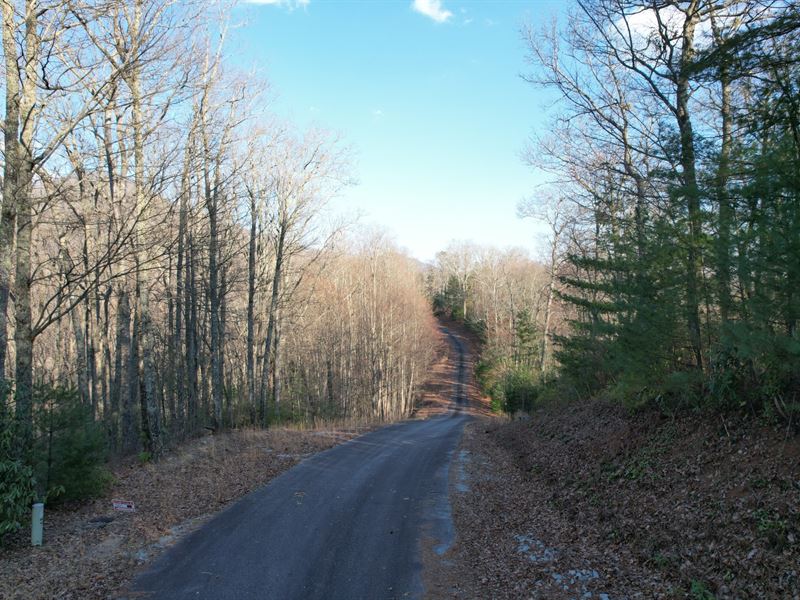 1.28 Ac Lot 10, Rabun County : Rabun Gap : Rabun County : Georgia