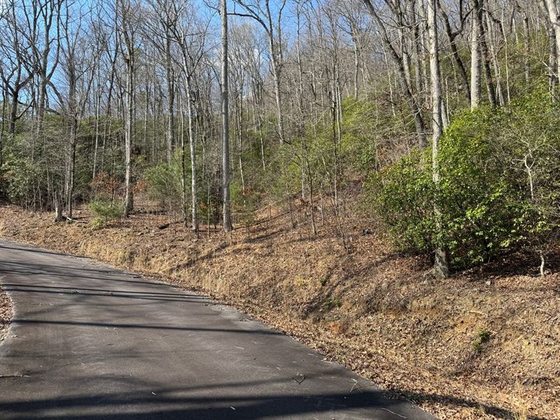 5.76 Ac Lot 26, Towns County, GA : Hiawassee : Towns County : Georgia