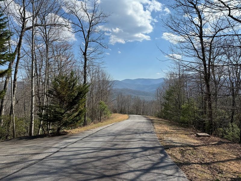 8.10 Ac Lot 25, Towns County, GA : Hiawassee : Towns County : Georgia