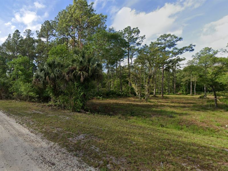 Private Lake on Brewster St 1+ Acre : Satsuma : Putnam County : Florida