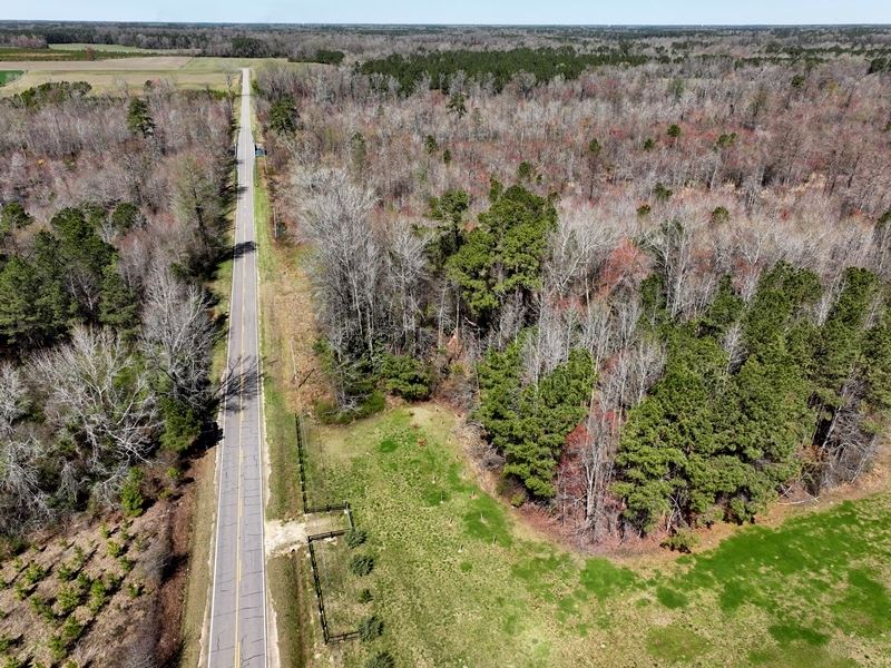 Beautiful Recreational Tract : Lumberton : Robeson County : North Carolina