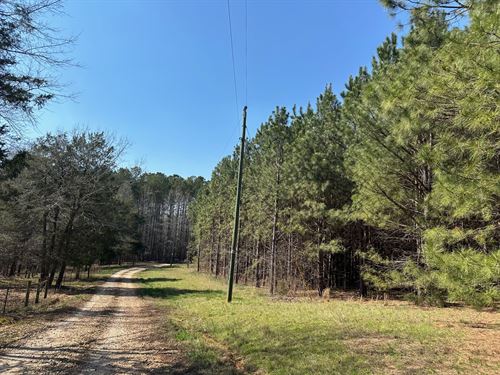 Madison County Georgia Land for Sale : LANDFLIP