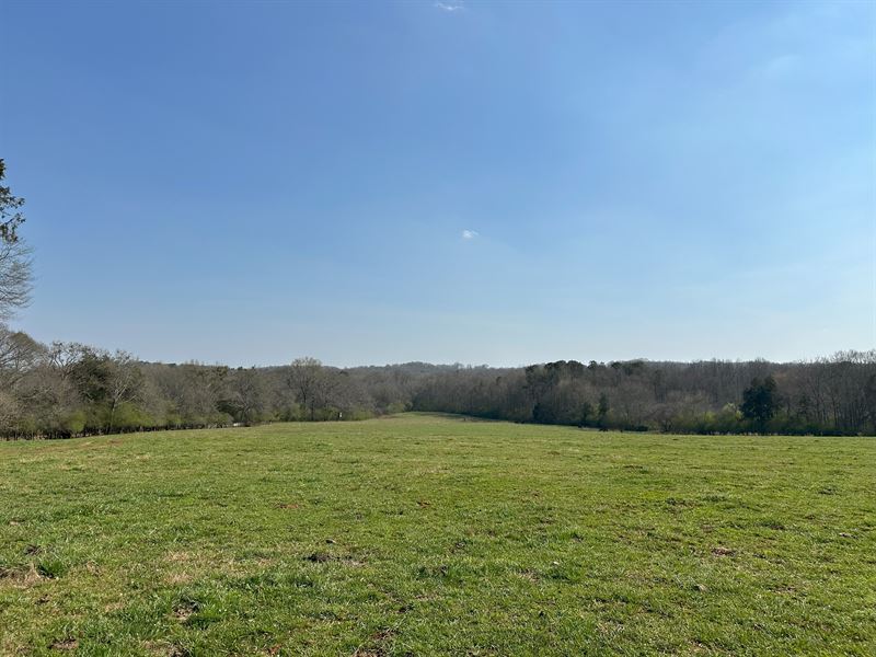 Meadow View Farm : Commerce : Jackson County : Georgia