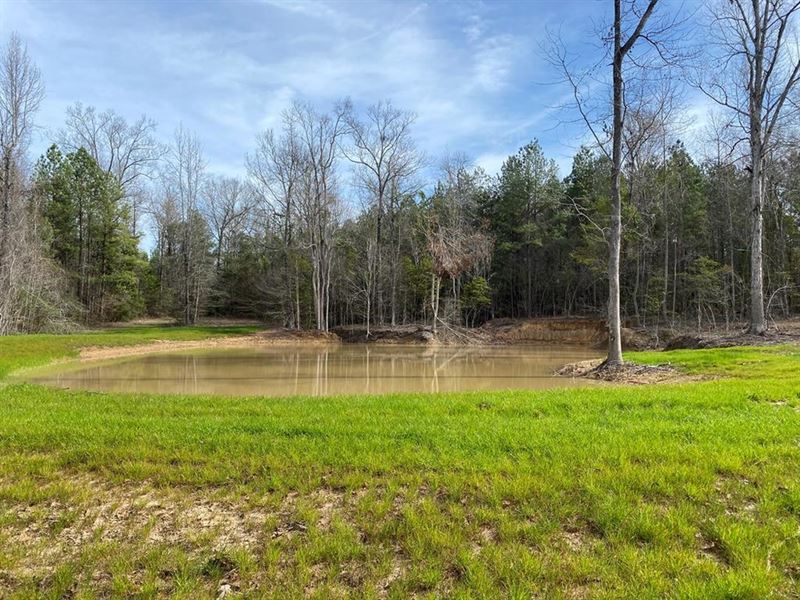 12.170 Acres Near Brookhaven, Missi : Brookhaven : Lincoln County : Mississippi