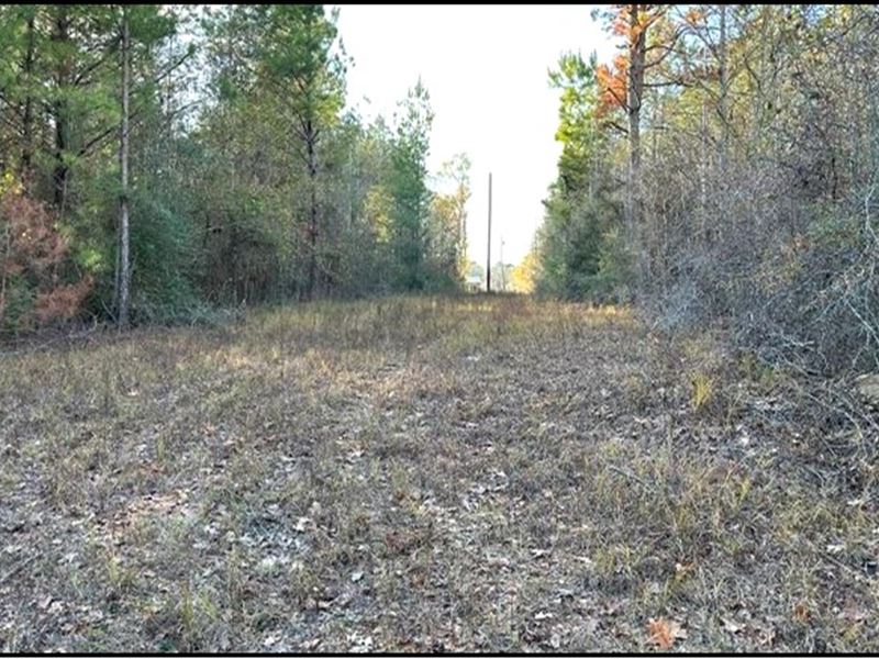 13.8 Acres in Copiah County in Wess : Wesson : Copiah County : Mississippi